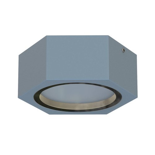 Уличный потолочный светильник Favourite Fantum 4666-1U