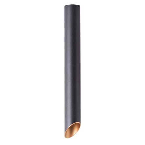 A1537PL-1BK Накладной светильник Arte Lamp Pilon-Gold A1537PL-1BK