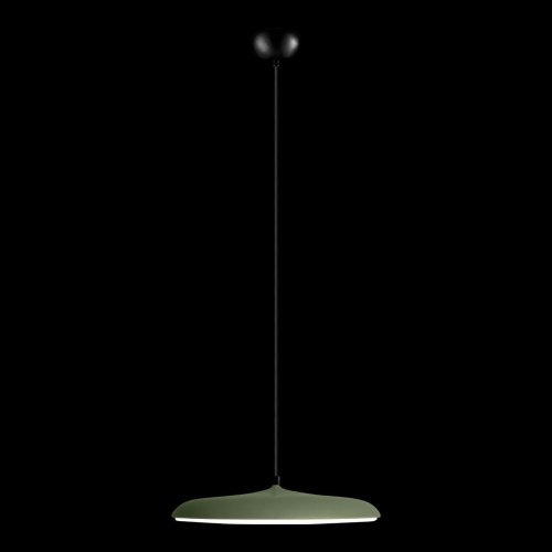 10119 Green Светильник подвесной Loft It Plato 10119 Green