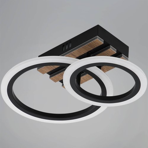 Потолочная люстра Reluce 00330-0.3-1+1