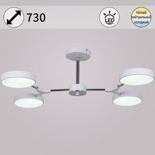 Потолочная люстра 13246-4.3-04