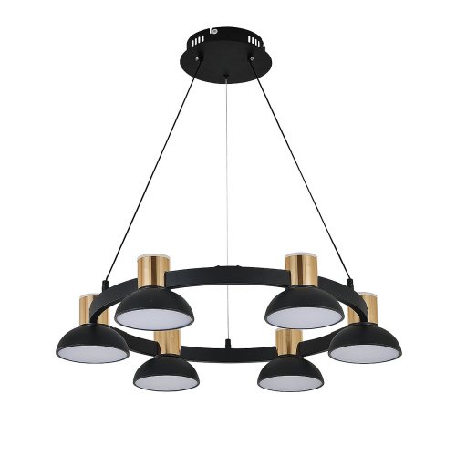 Подвесная люстра Indigo Traforo V000182L 11059/6P Black