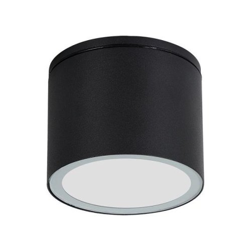 A1913PF-1BK Уличный потолочный светильник Arte Lamp Piautos A1913PF-1BK