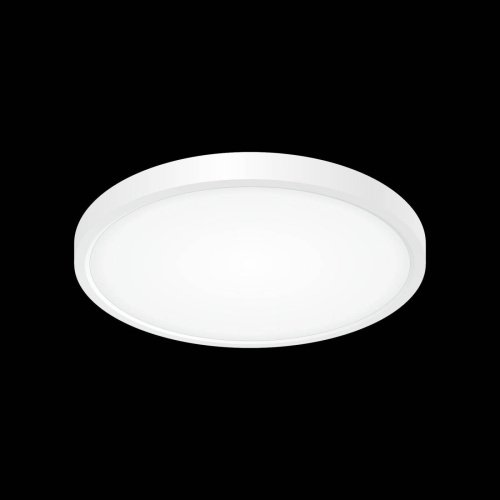 Потолочный светодиодный светильник Citilux Бейсик CL738240V