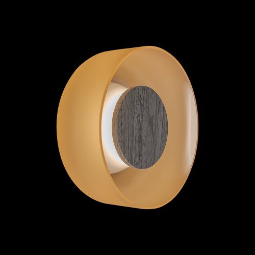 Настенный светильник Totem Loft It 10466W Amber matte wood