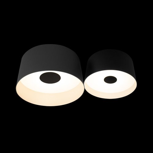 Светильник потолочный Loft It Duo 10360/2