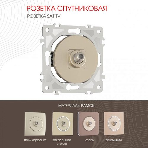 Розетка Arte Milano Am-202 202.42-1.shampan