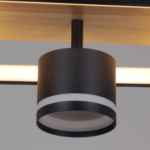 Потолочная люстра Reluce 19560-0.3-2+2 BK+WOOD