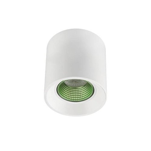 Накладной светильник Denkirs DK3040 DK3090-WH+GR
