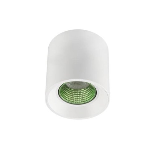 Накладной светильник Denkirs DK3040 DK3090-WH+GR