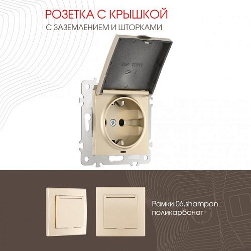 206.41-1.shampan Розетка Arte Milano Am-206 206.41-1.shampan