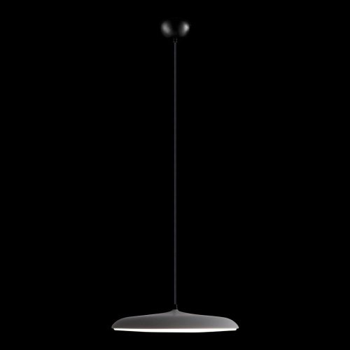 10119 Grey Светильник подвесной Loft It Plato 10119 Grey