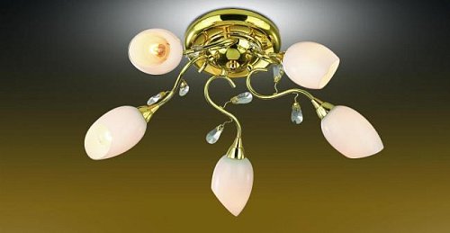 1604/5 Потолочная люстра Odeon Light Fiera 1604/5
