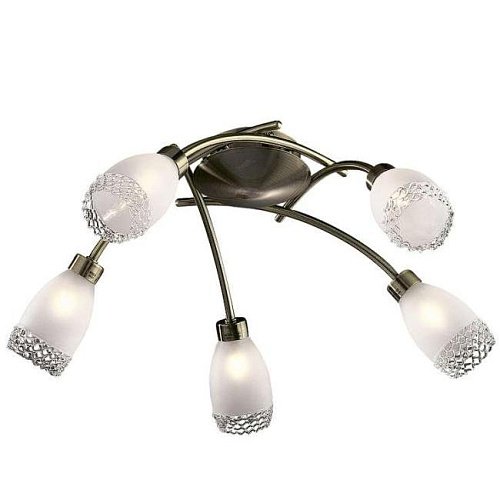 Потолочная люстра Odeon Light Lerta 1803/5C