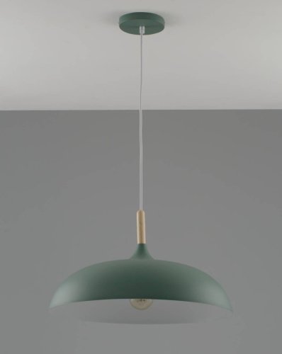 Светильник подвесной Moderli Hygo V10656-1P