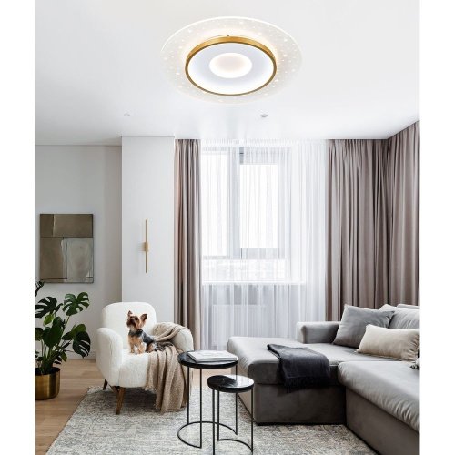 L1027-500 WH-GD Потолочный светильник L LED4U L1027-500 WH-GD