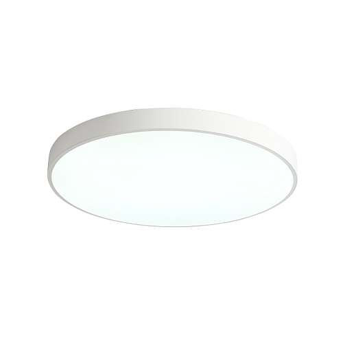 ZRS.02564.120 Светильник потолочный Zortes Tortty ZRS.02564.120