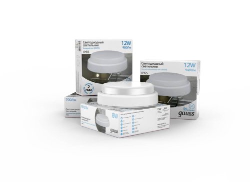 Светильник потолочный Gauss Universal IP65 126411315