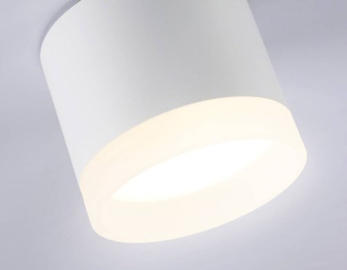 Накладной светильник Ambrella Acrylic Frost TN5365