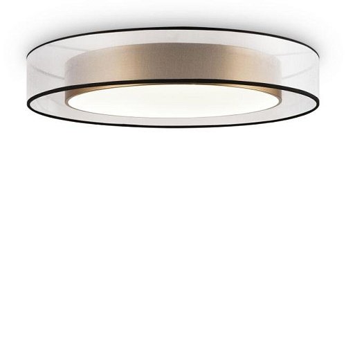 Светильник потолочный Freya Zoticus FR6005CL-L48G