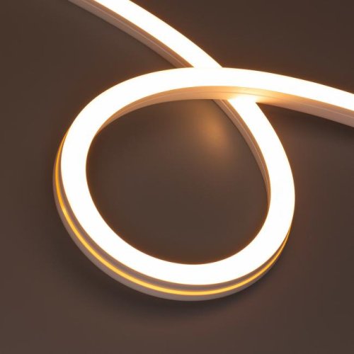 Светодиодный шнур Arlight Moonlight 044248