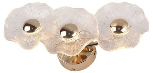 Настенный светильник Rivoli Shannon 6135-401