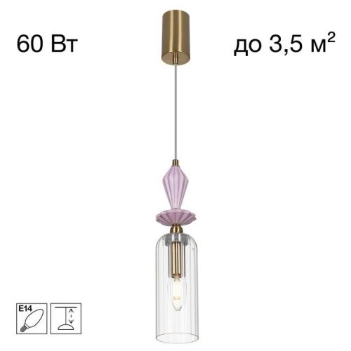 CL254010 Подвесной светильник FERNET Citilux CL254010