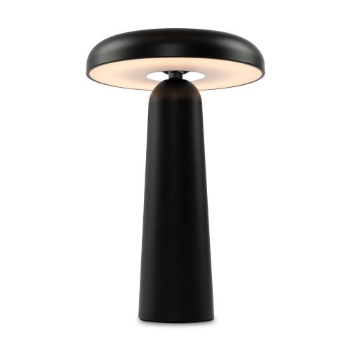 Настольная лампа Freya Mushroom FR6109TL-L4B