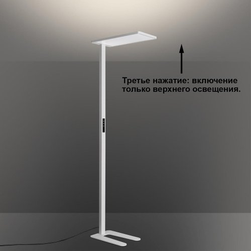 359545 Торшер Novotech Studi 359545