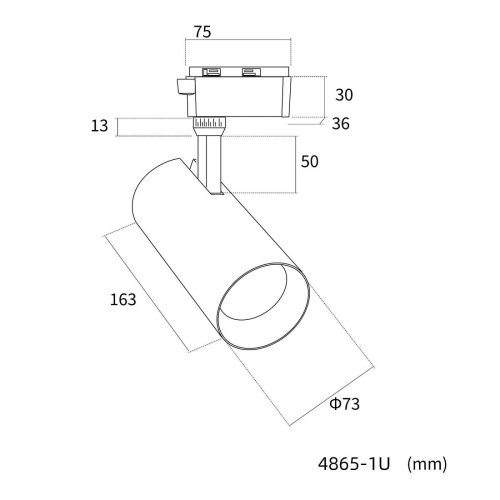 Трековый светильник Favourite Practica 4865-1U