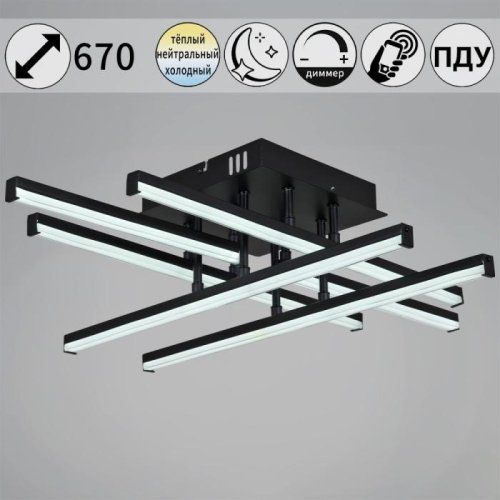 Потолочная люстра 01323-0.3-06 BK