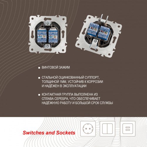 Розетка Arte Milano Am-203 203.45-2.shampan