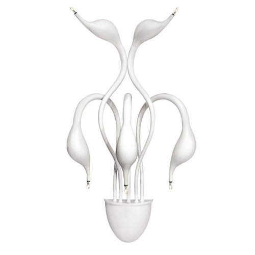 Настенное бра Lightstar Cigno Collo 751656
