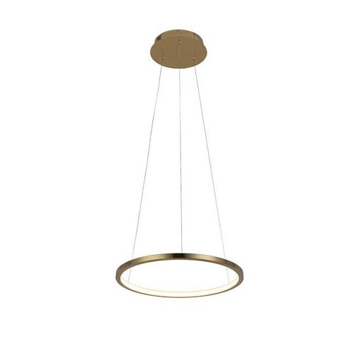 10014S Светильник подвесной Loft It Ring 10014S