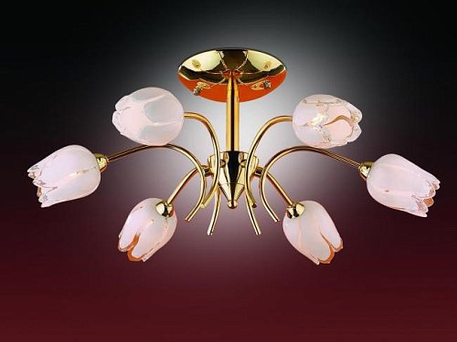 1815/6 Потолочная люстра Odeon Light Tulip 1815/6