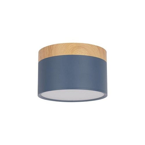 Накладной светильник Loft It Grape 10162 Blue