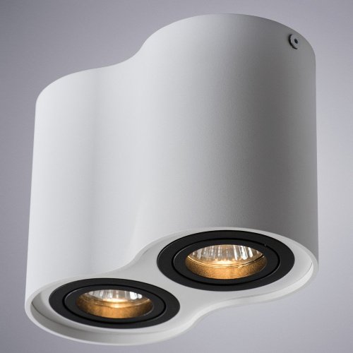 Накладной светильник Arte Lamp Falcon A5644PL-2WH