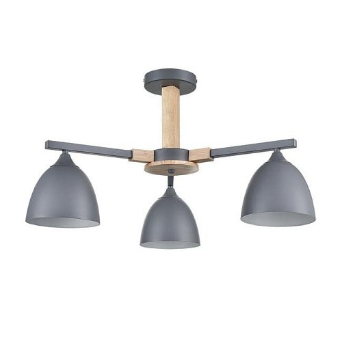 8096/3C Потолочная люстра Lumion Colange 8096/3C