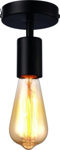 A9184PL-1BK Светильник потолочный Arte Lamp FUORI A9184PL-1BK