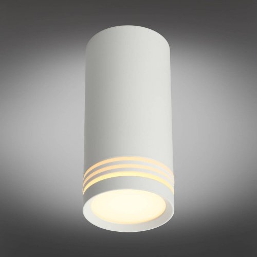 OML-100809-01 Накладной светильник Omnilux Olona OML-100809-01