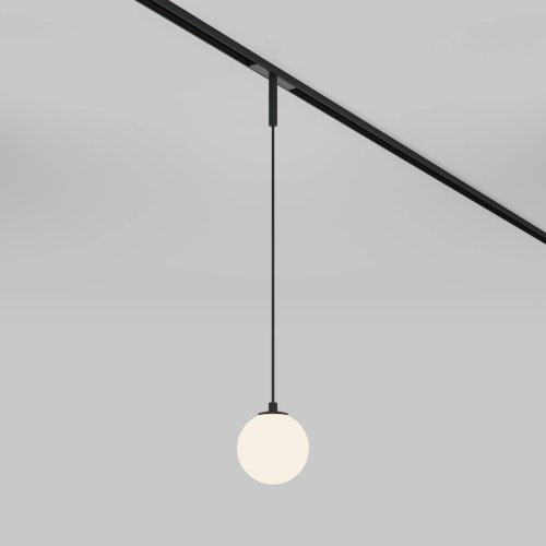 Трековый светильник Maytoni Luna TR178-1-5WTW-B