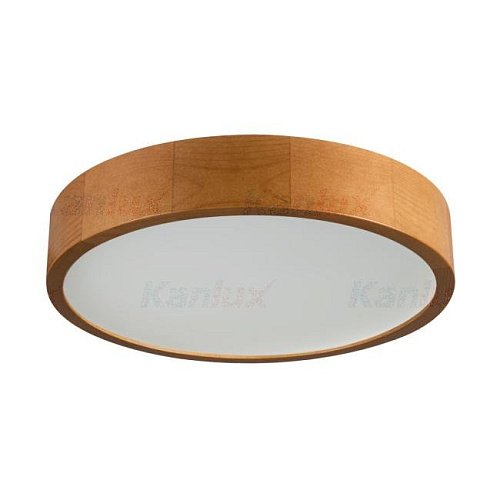 36441 Светильник потолочный Kanlux Jasmin 36441