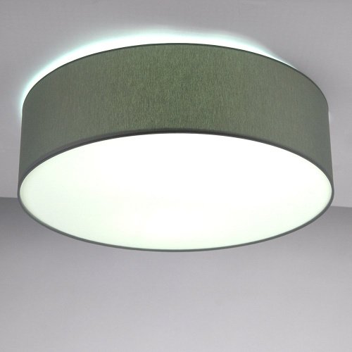 LH022028 Светильник потолочный LightHall Camerona 65 LH022028