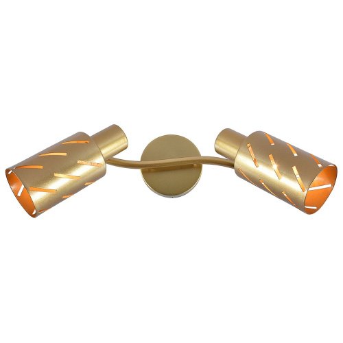 Светильник спот Escada Vega 666/2A