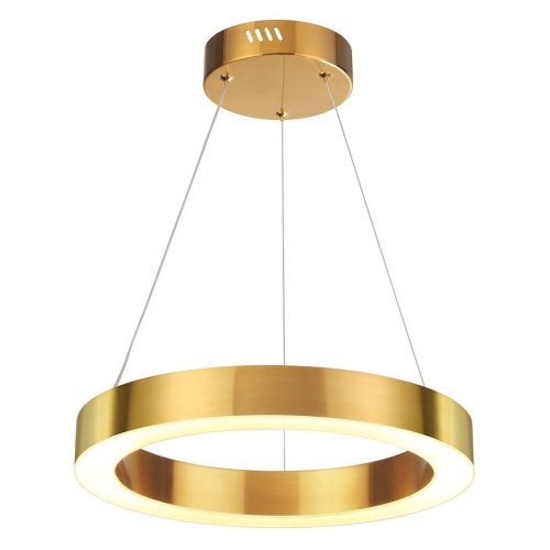 Подвесная люстра Odeon Light Brizzi 3885/25LG