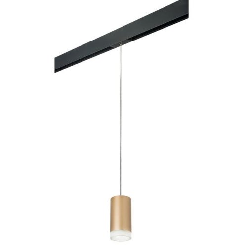 PRORP44030 Трековый светильник Lightstar Rullo PRORP44030