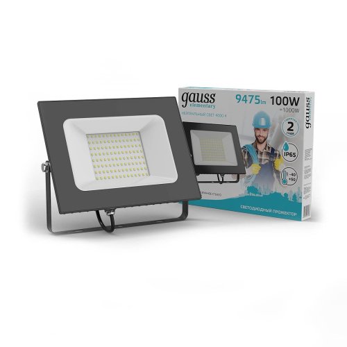 Прожектор уличный Gauss Elementary 4000 613100110