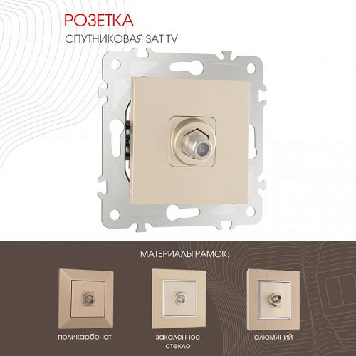 203.42-1.shampan Розетка Arte Milano Am-203 203.42-1.shampan
