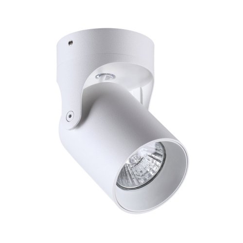 Светильник спот Odeon Light Corsus 3854/1C
