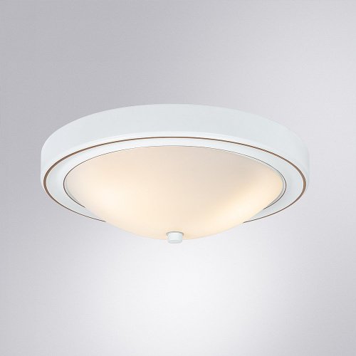 A4049PL-3WH Светильник потолочный Arte Lamp James A4049PL-3WH